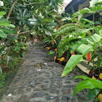 Our beautiful garden in Kita Garden Home Stay